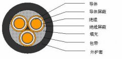 3*2.5，3*3，3*4，3*6，3*10，3*16，3*25屏蔽電纜結(jié)構(gòu)圖