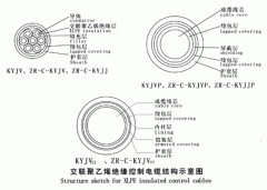 KYJV，KYJVP，KYJV22額定電壓0.6/1kV交聯(lián)聚乙烯絕緣控制電纜