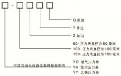 YO/YA/YY特種壓力表